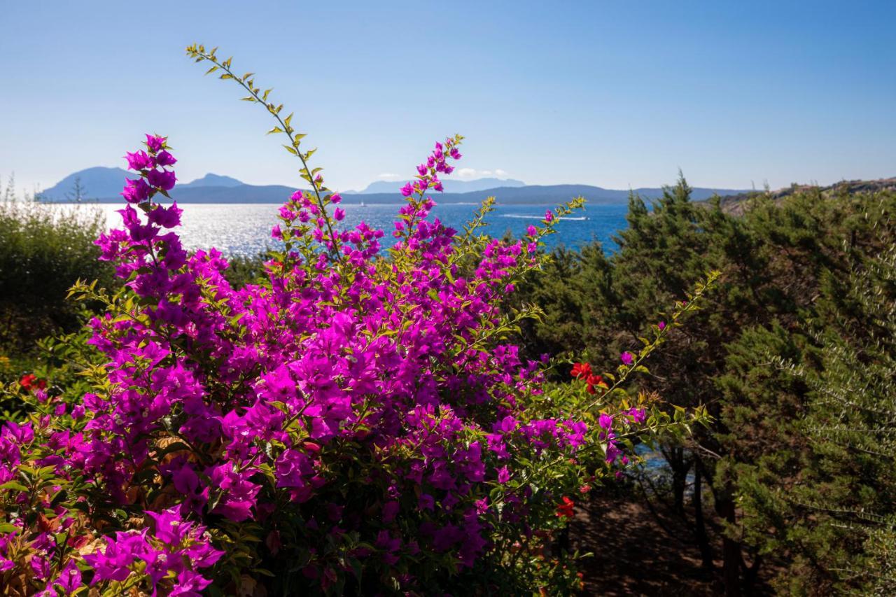 Splendido Appartamento Vista Mare Porto Rotondo Eksteriør bilde